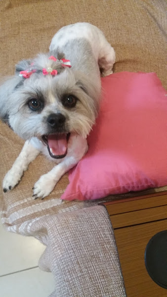 Foto 2 Agropet Barão