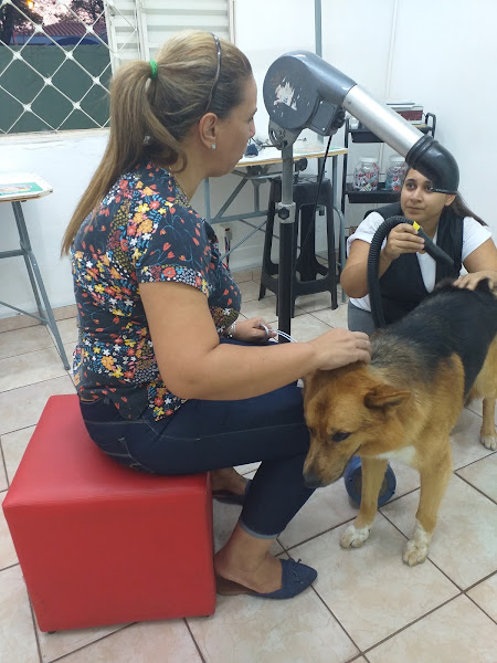 Foto 5 Agropet Barão