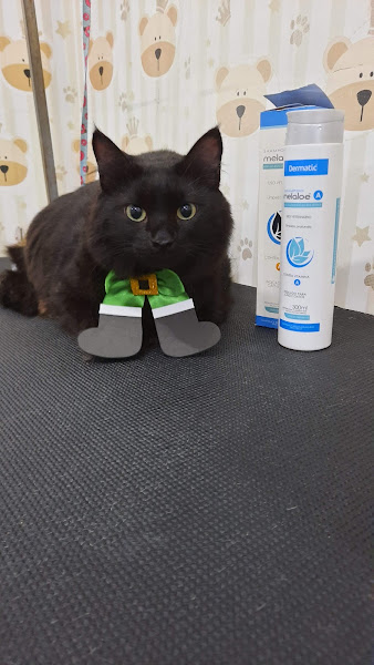 Foto 2 Assistência Veterinária São Francisco de Assis