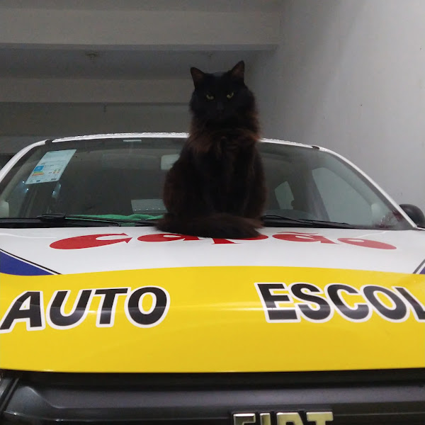 Foto 1 Auto Escola Capão Redondo