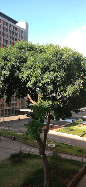 Centro de Formação de Condutores Classe A