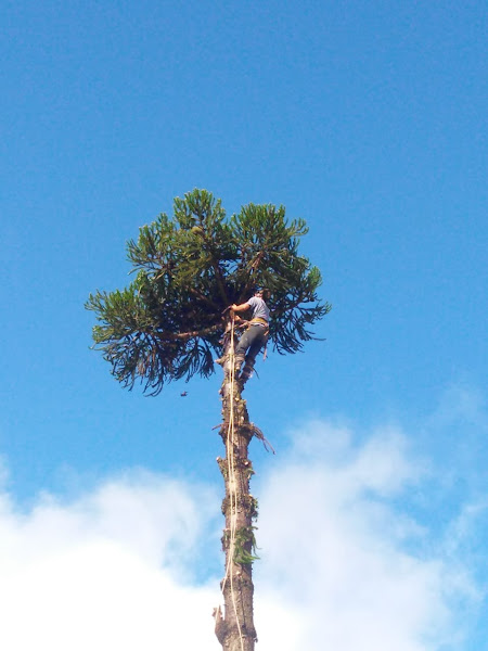 Foto 1 Auto Escola Santa Felicidade