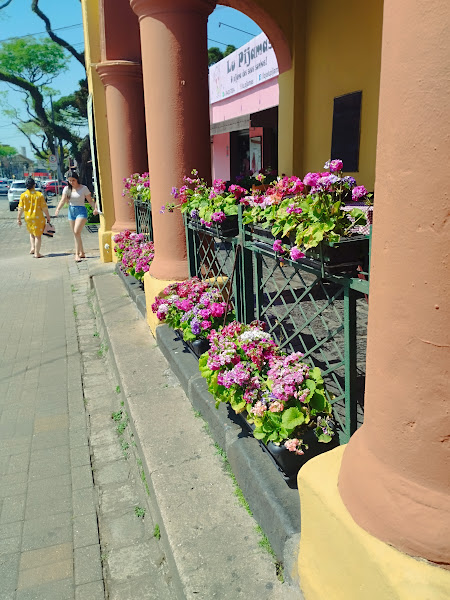 Foto 5 Auto Escola Santa Felicidade