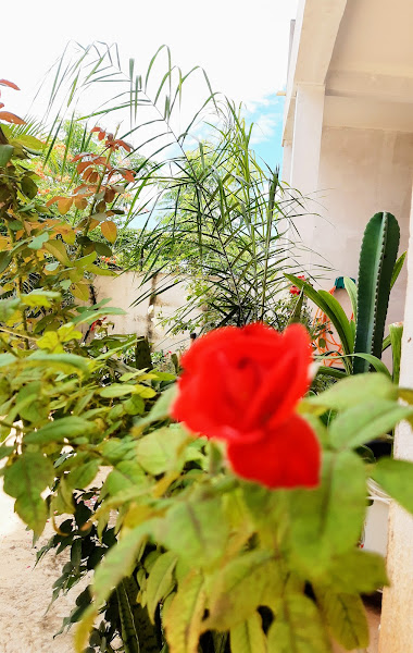 Auto Escola Universo / Autoescola Universo / CFC Universo / Centro de Formação de Condutores