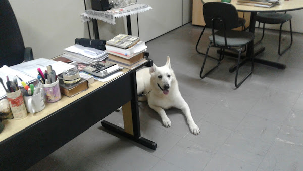 Linhal Ind Com Materiais Construção