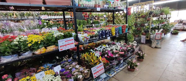 Foto 1 Sodimac Dicico - Tietê