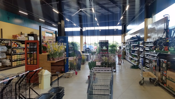 Foto 3 Sodimac Dicico - Tietê