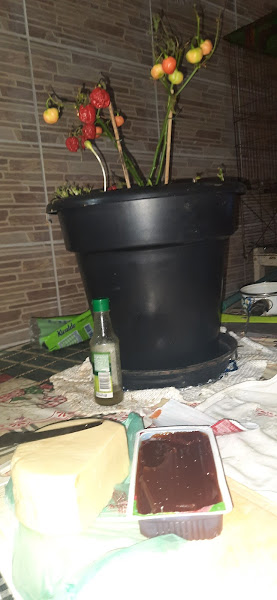 Belasque Materias de Construção