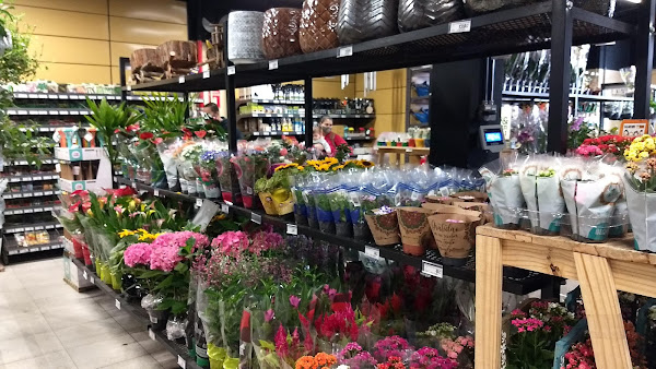 Foto 3 Sodimac Dicico - Santo Amaro