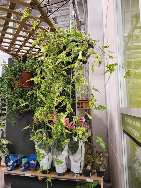 Foto 1 Sodimac Homecenter - Anchieta