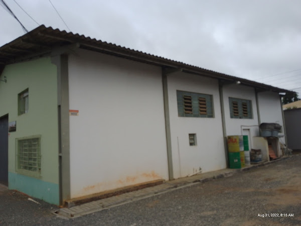 Foto 2 O Bicho Carpinteiro