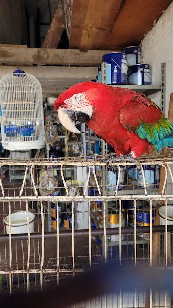 Foto 1 Cidade Nova Materiais de Construção