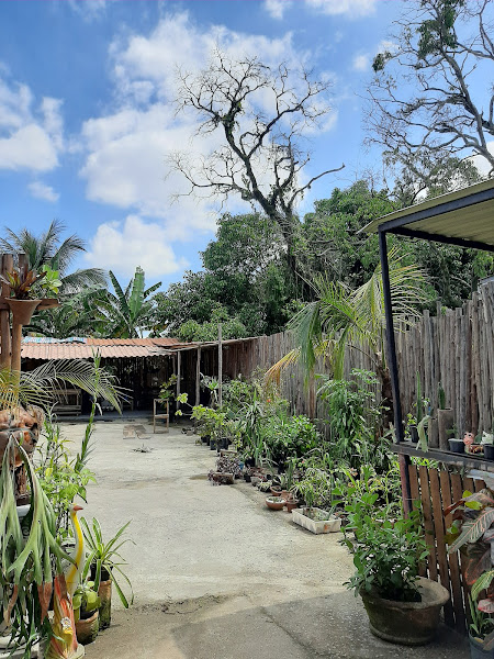 Foto 1 Tijolinho Materiais De Construcao