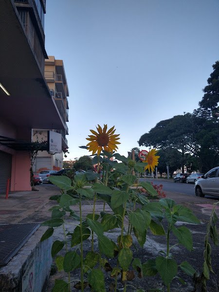 Foto 3 JS Materiais para Construção