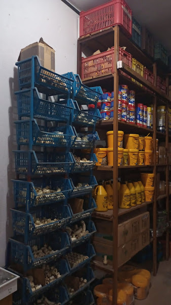 Foto 1 Casarão Materiais Para Construção