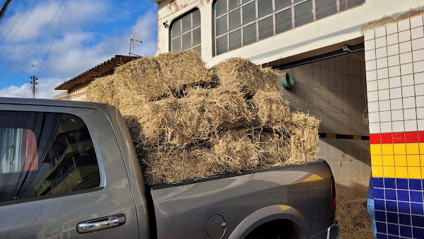 Foto 6 Luciano Auto Peças e Auto Center BRAZLÂNDIA