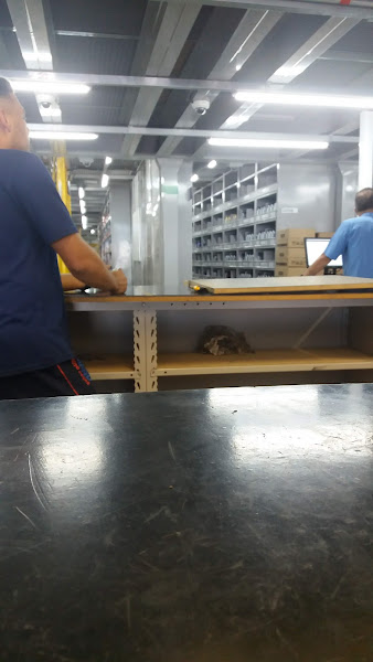 Foto 6 Comando Auto Peças