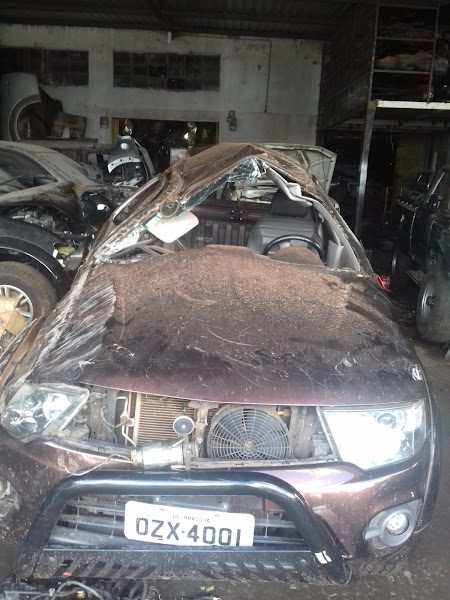 Foto 1 Filé do Automóvel