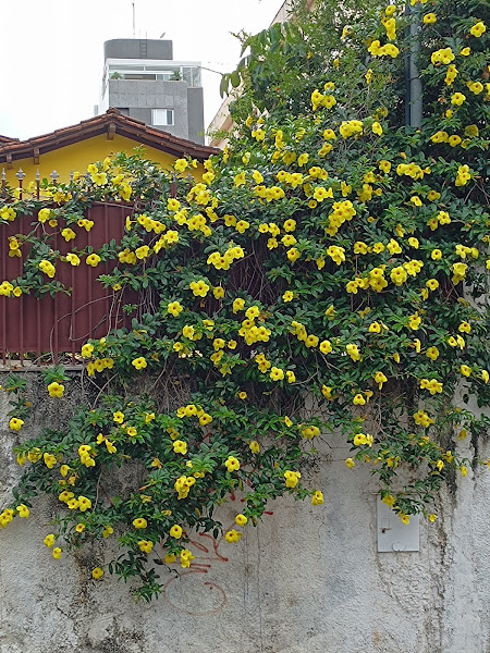 Foto 1 Depósito Barroca