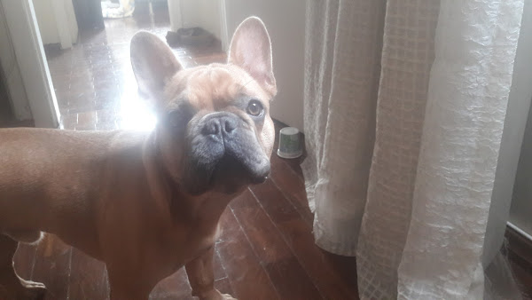 Foto 1 Sigga Auto Peças Ltda