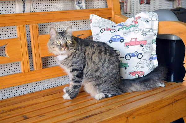 Foto 2 novo horizonte auto peças