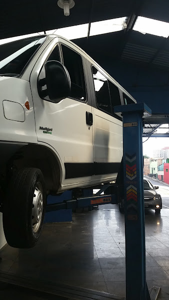 Foto 5 Casa das Vans