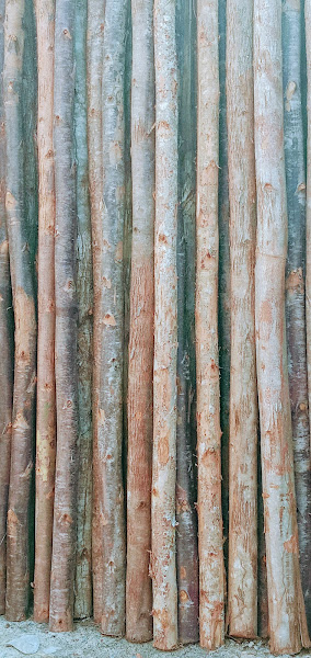 Foto 3 Lojão da Construção