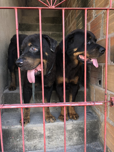 Foto 3 Lampião Materiais de Construção