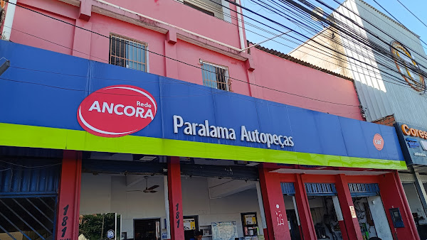 Paralama Autopeças