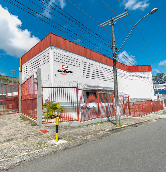 Cobra Rolamentos e Autopeças