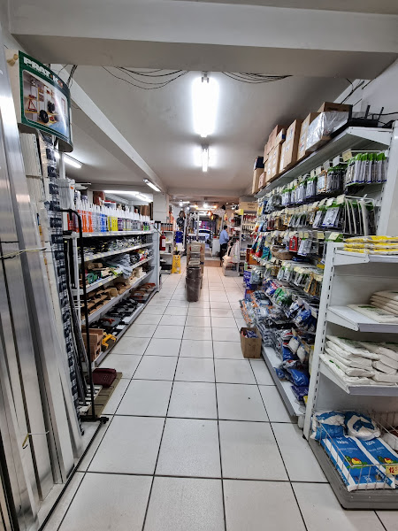 Foto 2 Fiorucci Material para Construção