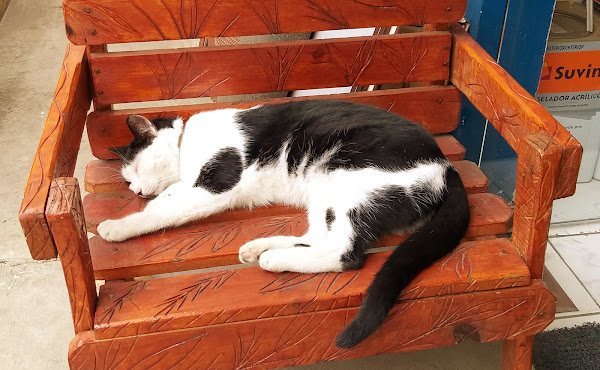 Foto 2 Zzat Full Materiais de Construção