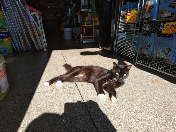 Foto 3 Sionek Materiais de Construção