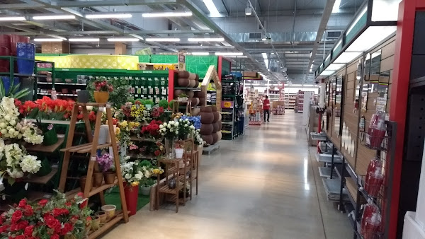 Foto 1 Cassol Centerlar - Linha Verde