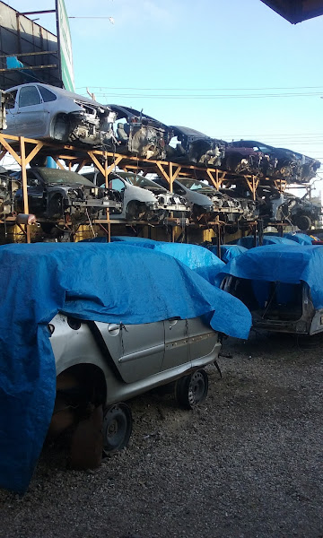 Foto 4 Só Francês Comércio de Peças para Veículos