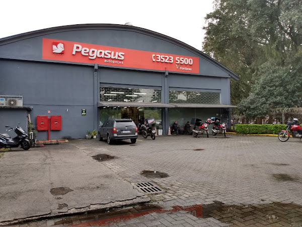Foto 2 Pegasus Autopeças