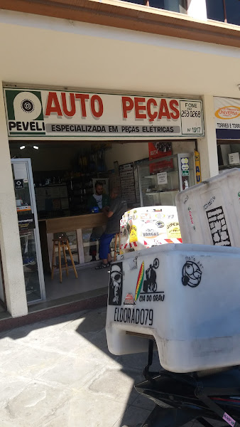 Foto 4 PEVELI - Auto Peças Elétricas