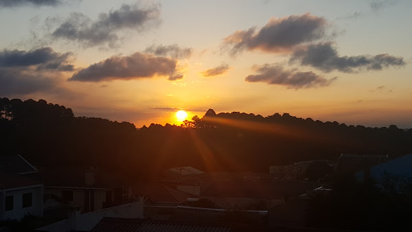 Foto 5 Caprigem Comércio de Auto Peças LTDA