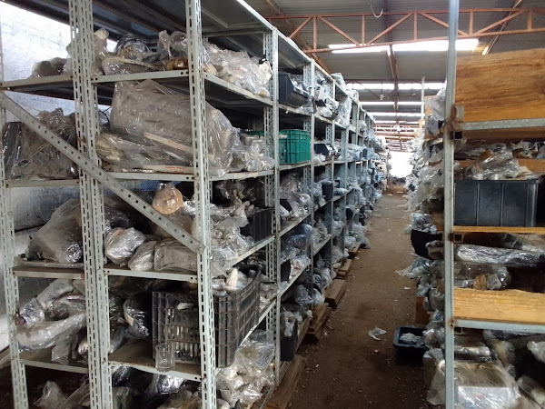 Foto 2 Motors Mania Auto Peças