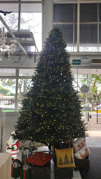 Foto 1 Depósito Tiradentes Foto 1 Depósito Tiradentes