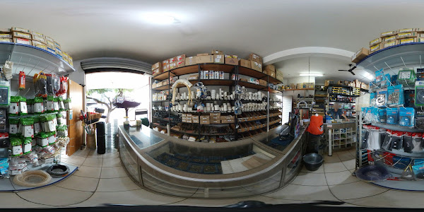 Foto 1 Depósito Real