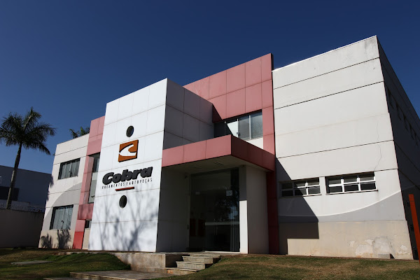 Cobra Rolamentos e Autopeças