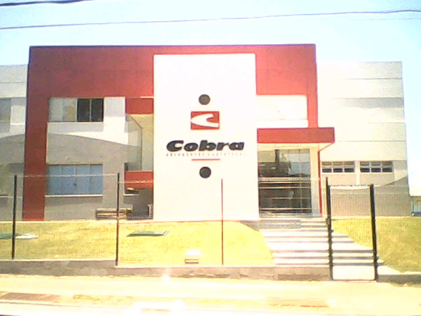 Foto 4 Cobra Rolamentos e Autopeças