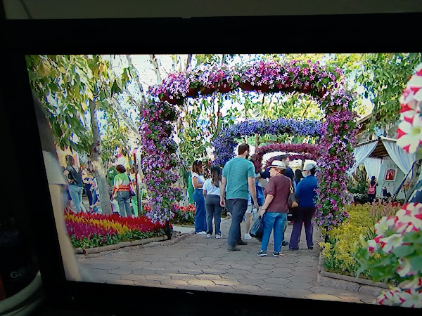 LHS Materiais para Construção