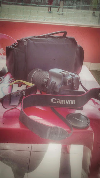 Sercar Dist e Importadora de Peças e Acessórios Ltda e P P