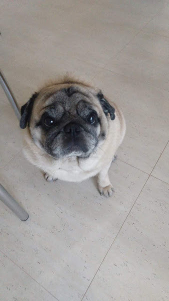 Farmácia Santa Mariana - Rede Aliança Farmacêutica