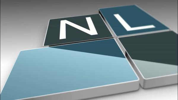 Nogueira de Lima Advogados Associados