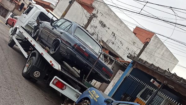 Foto 3 Guincho ALEMÃO GUINCHOS