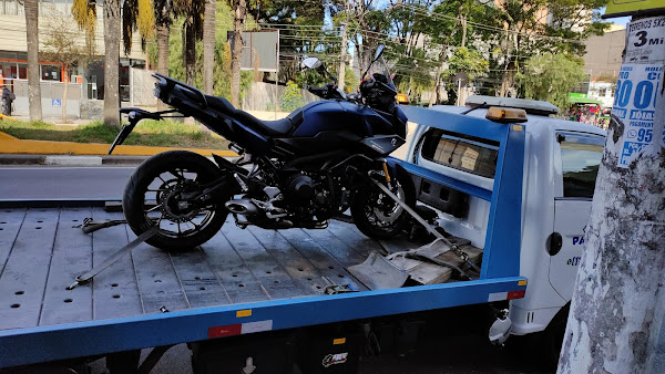 Foto 2 Paulinho Guincho