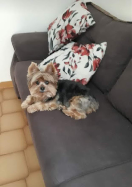 Lava rápido Angélica no brilho